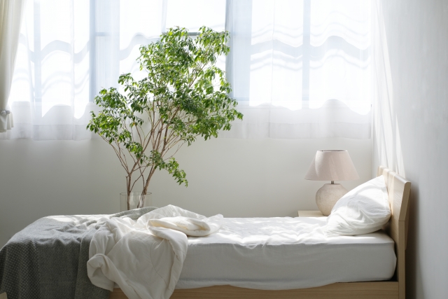 食事以外で太る原因になったと思うこと②睡眠不足・夜型生活