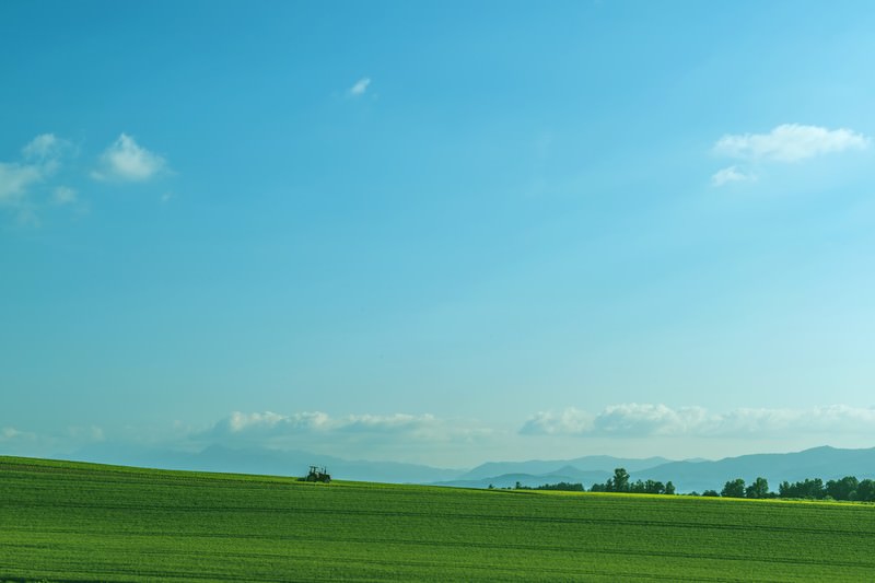 痩せる歩き方のポイント④朝のお腹が空いている時間にウォーキングを取り入れた
