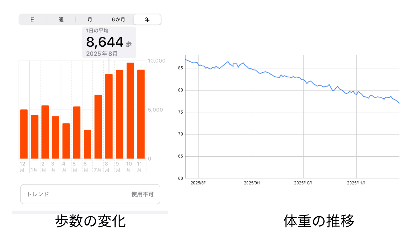 5か月毎日8,000歩歩いた結果、痩せた?痩せなかった?