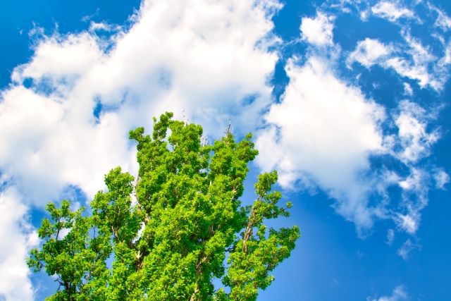 妊活中にダイエットしていいの？