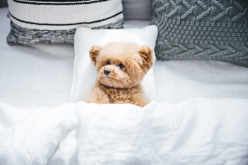 私が停滞期を抜けるためにやった６つのこと